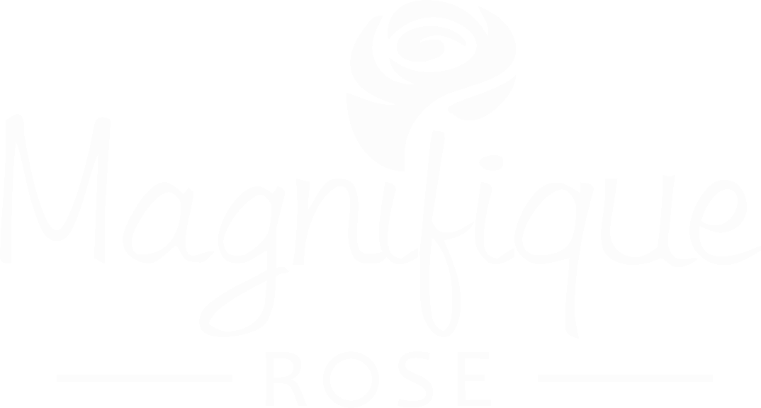 Magnifique Rose
