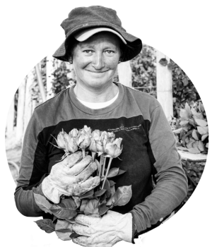 harvest